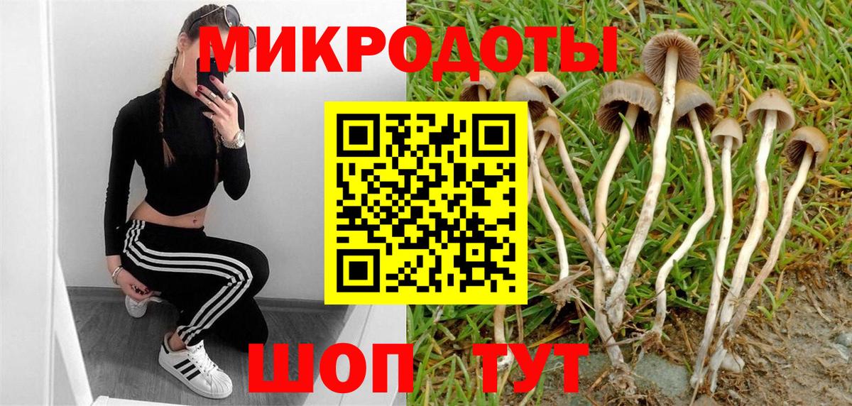 Галлюциногенные грибы мухоморы Строитель