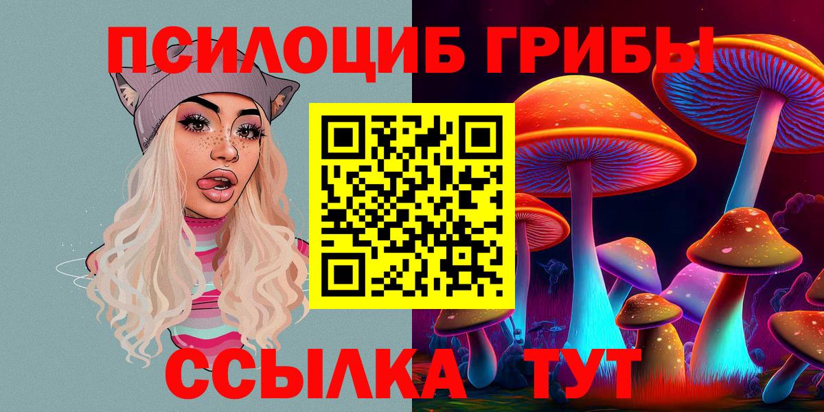 Псилоцибиновые грибы мицелий  как найти   Строитель  Псилоцибиновые грибы Psilocybine cubensis  Вход с VPN 